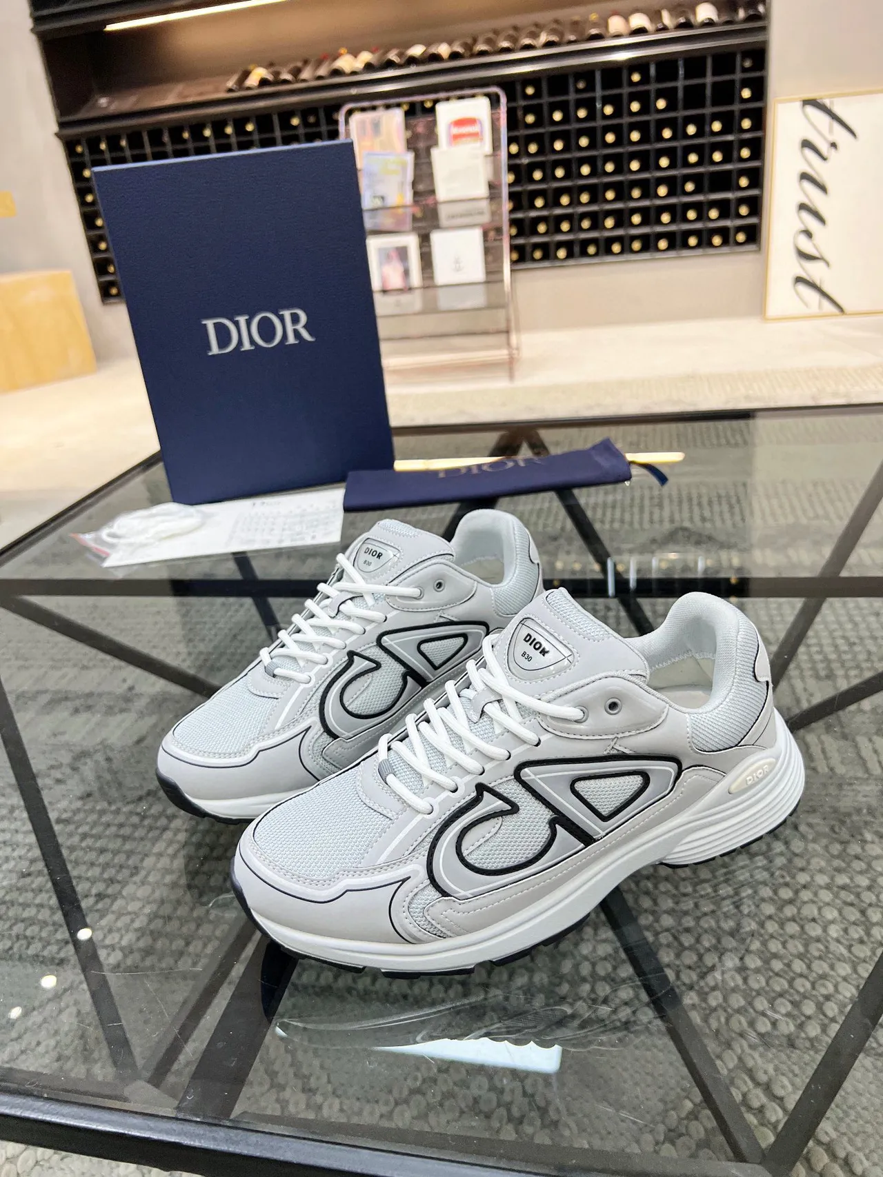Dior B23 Gray and White Lifestyle Sneakers