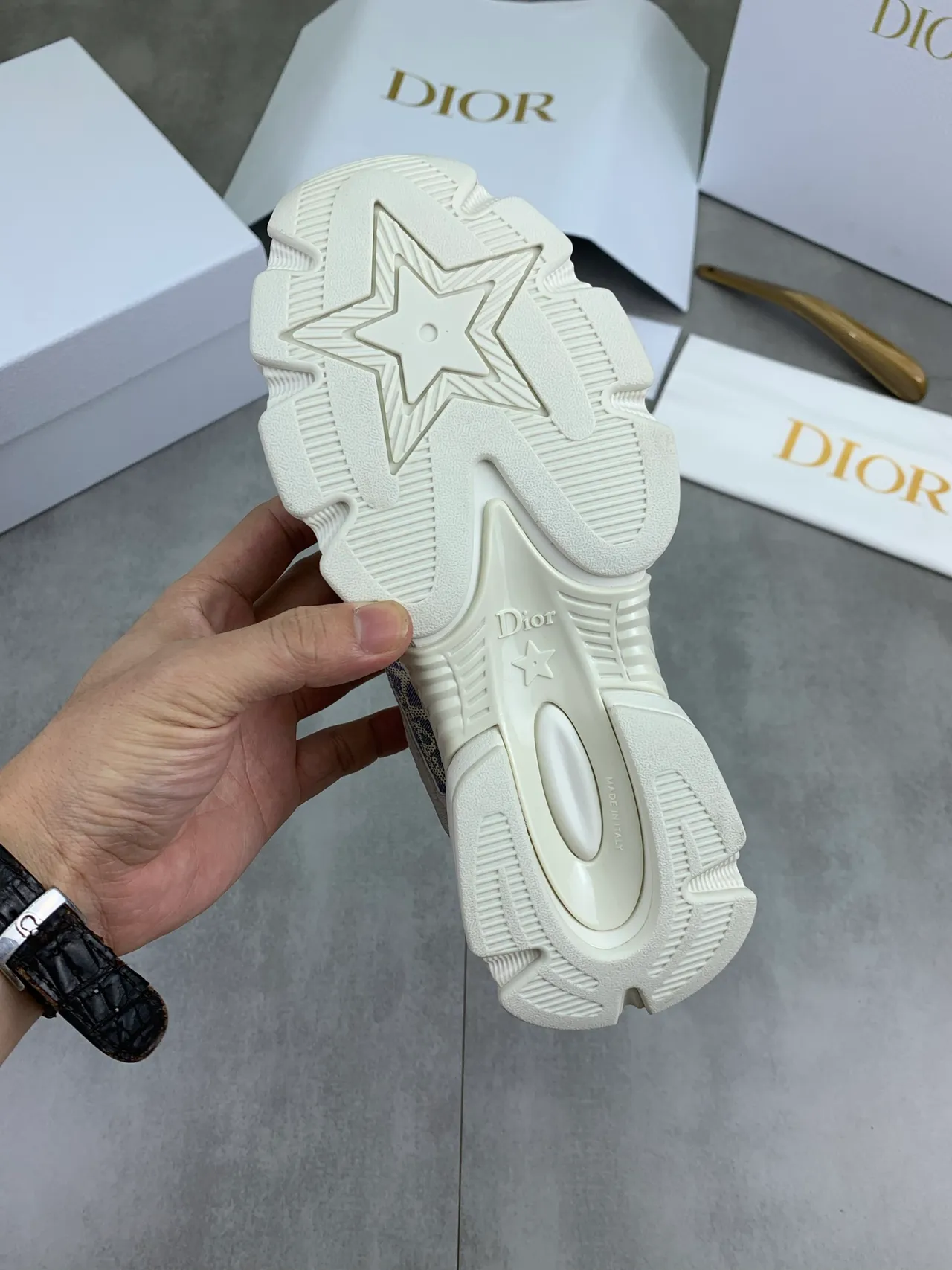 Dior Beige Blue Sole Oblique Monogram Jacquard Chunky Sneakers