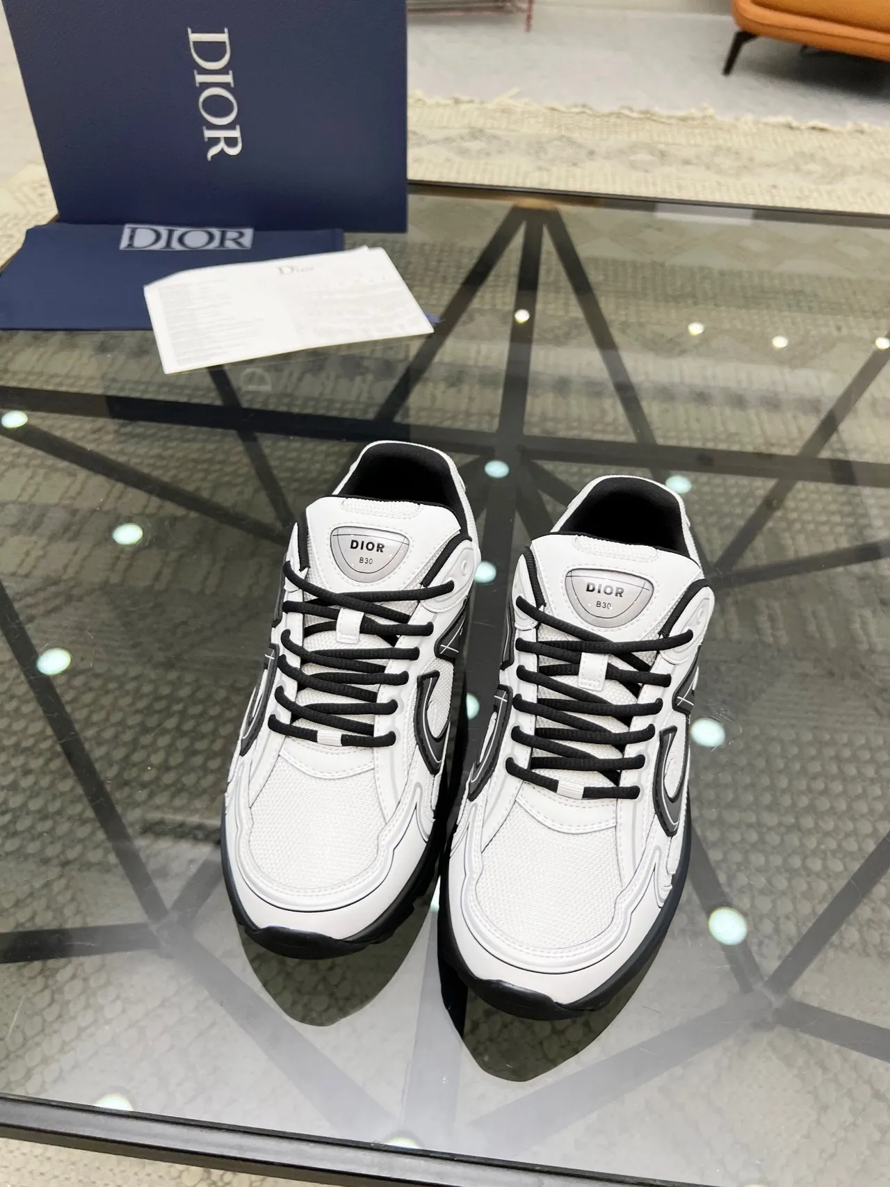 Dior B27 White Black Sole Oversized CD Logo Chunky Sneakers