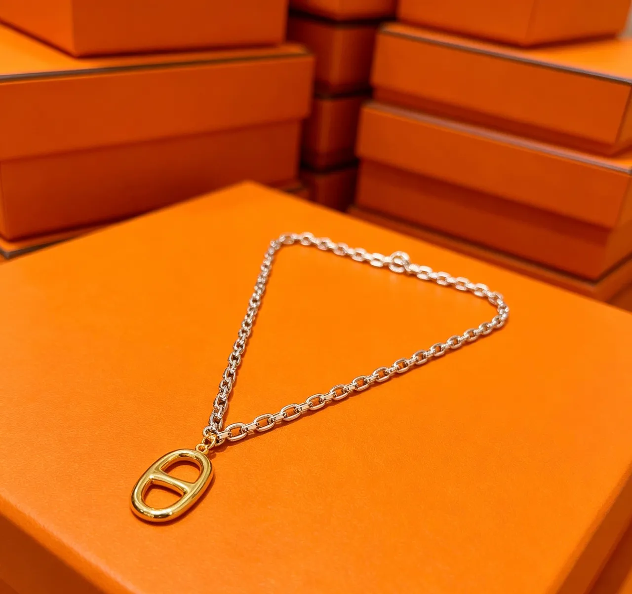 Hermès Chaine d'Ancre Gold and Silver Necklace