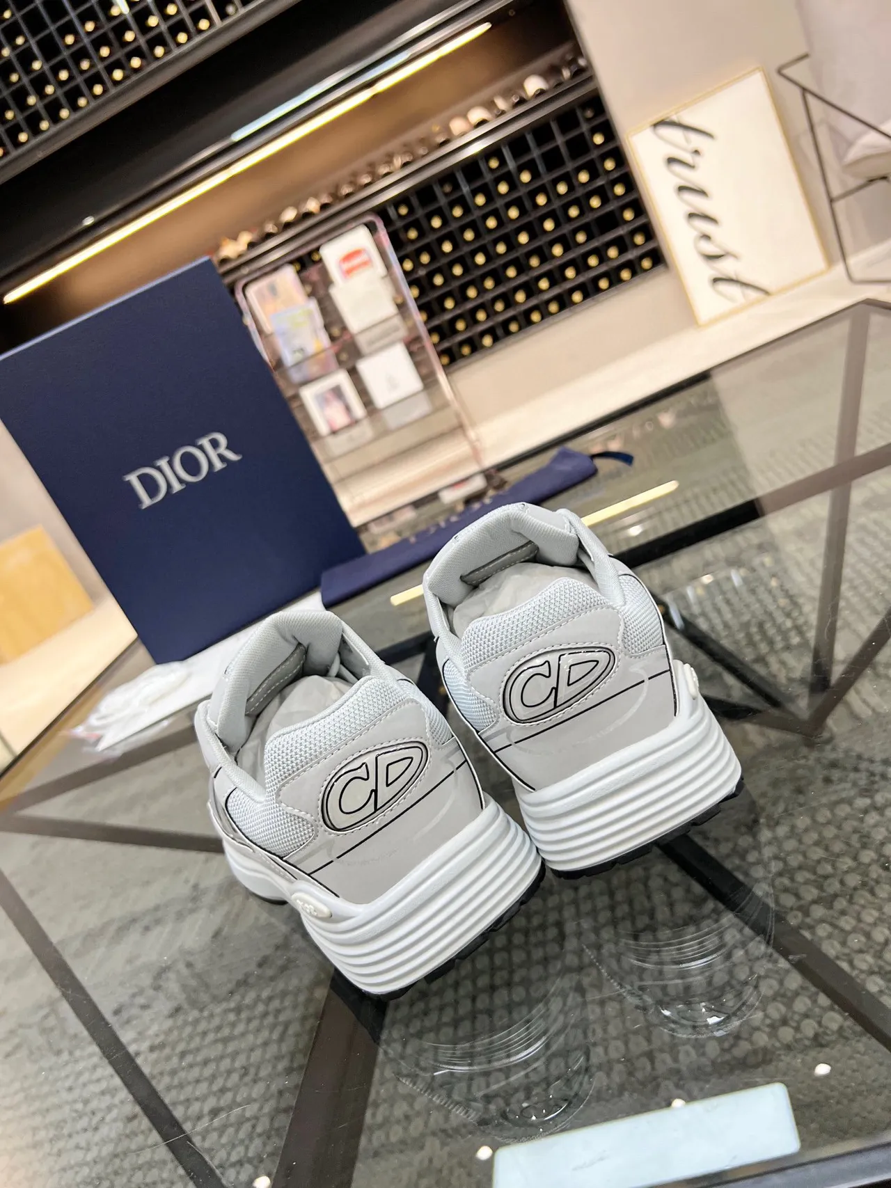 Dior B23 Gray and White Lifestyle Sneakers