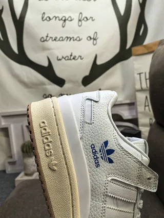 Adidas White Blue Low-Top Cupsole Lifestyle Sneakers