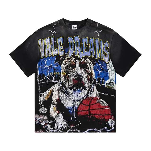 Vale Forever Vale Dreams Acid-Wash Black Graphic T-Shirt