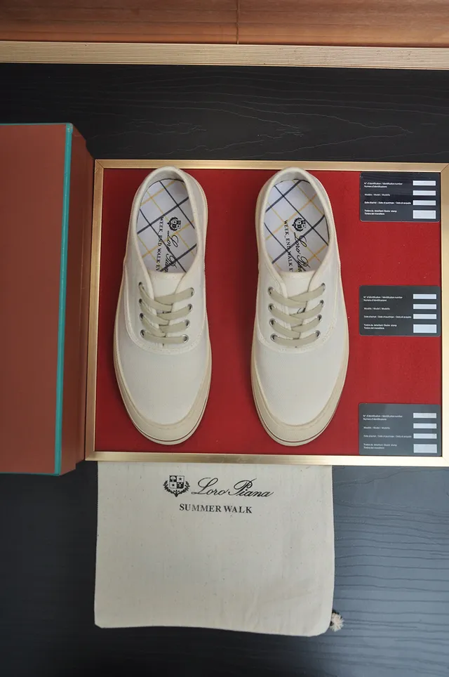 Beige Brown Low-Top Lace-Up Canvas Shoes