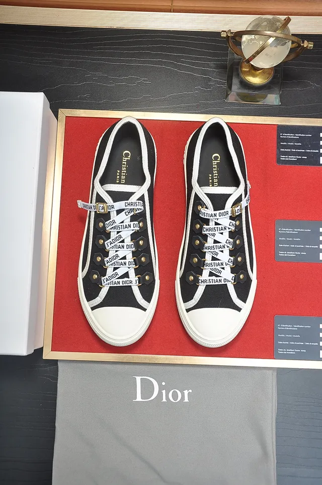 Dior B23 Black and White Canvas Lifestyle Sneakers