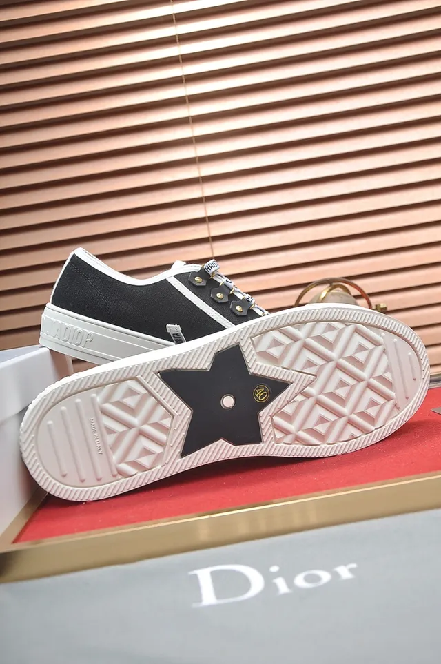 Dior B23 Black and White Canvas Lifestyle Sneakers