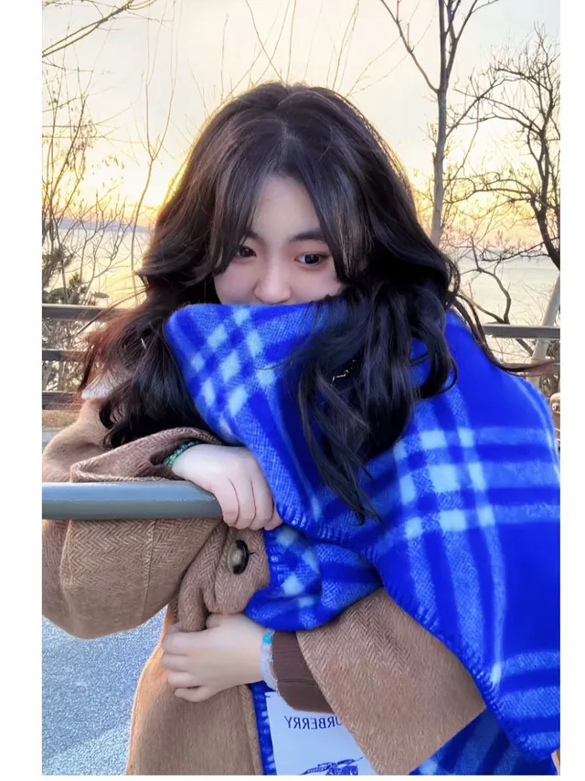 Burberry Blue and White Check Cashmere Scarf